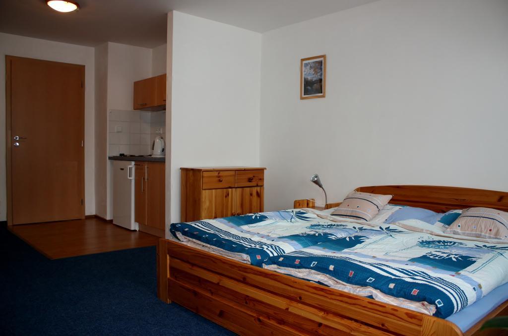 Apartmany Doma 야노프 나트 니소우 객실 사진